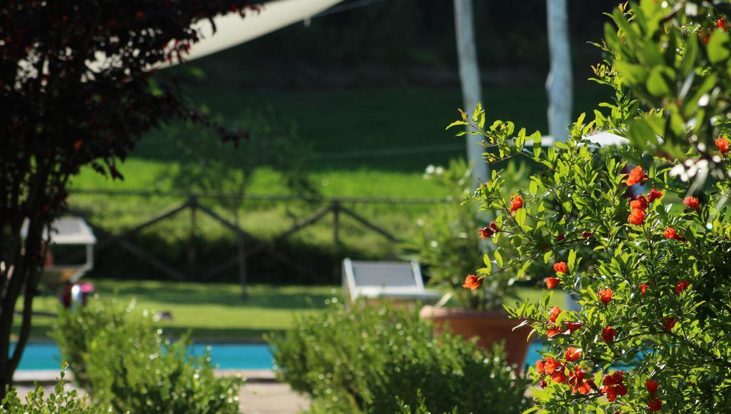 L'Ariete Montone (Umbria) Exterior foto